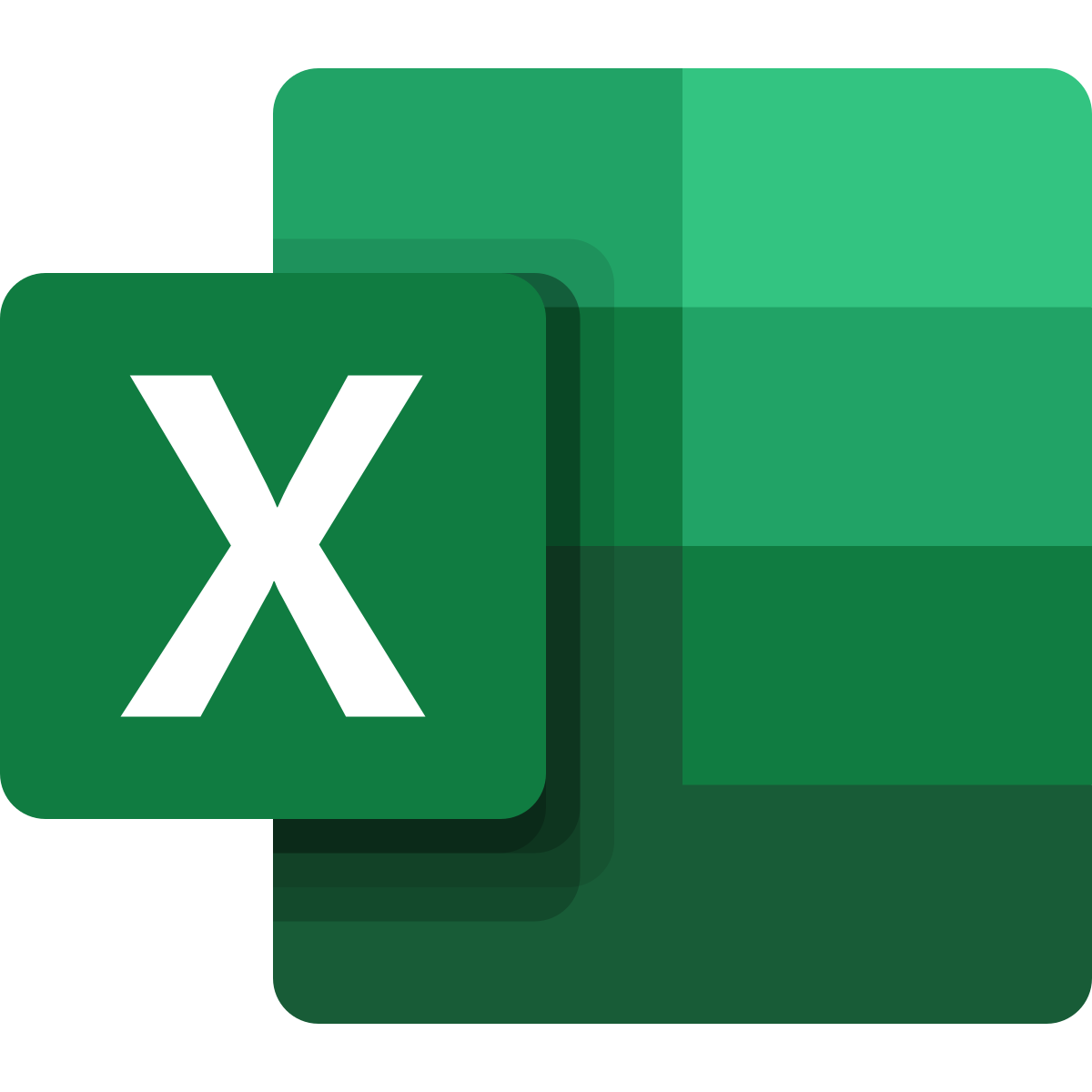 Excel Specialist